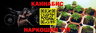 СК Бузулук
