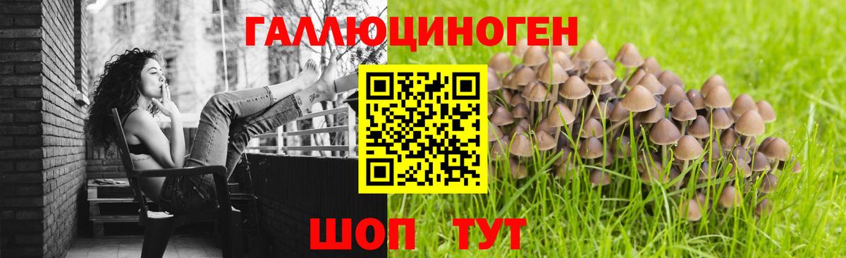 Кудымкар  Псилоцибиновые грибы MAGIC MUSHROOMS  купить наркоту  Вход с VPN  Псилоцибиновые грибы Psilocybe 