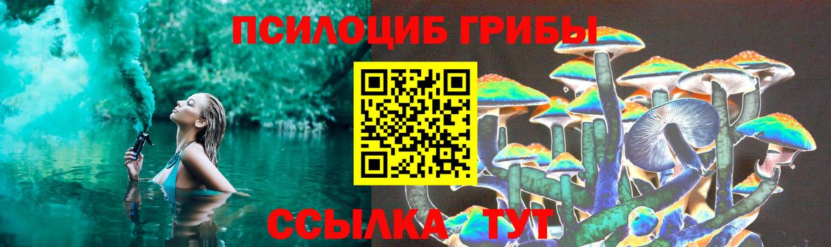 Псилоцибиновые грибы прущие грибы Кудымкар